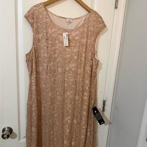 NWT Avenue cream Lace Sleeveless Dress size 22